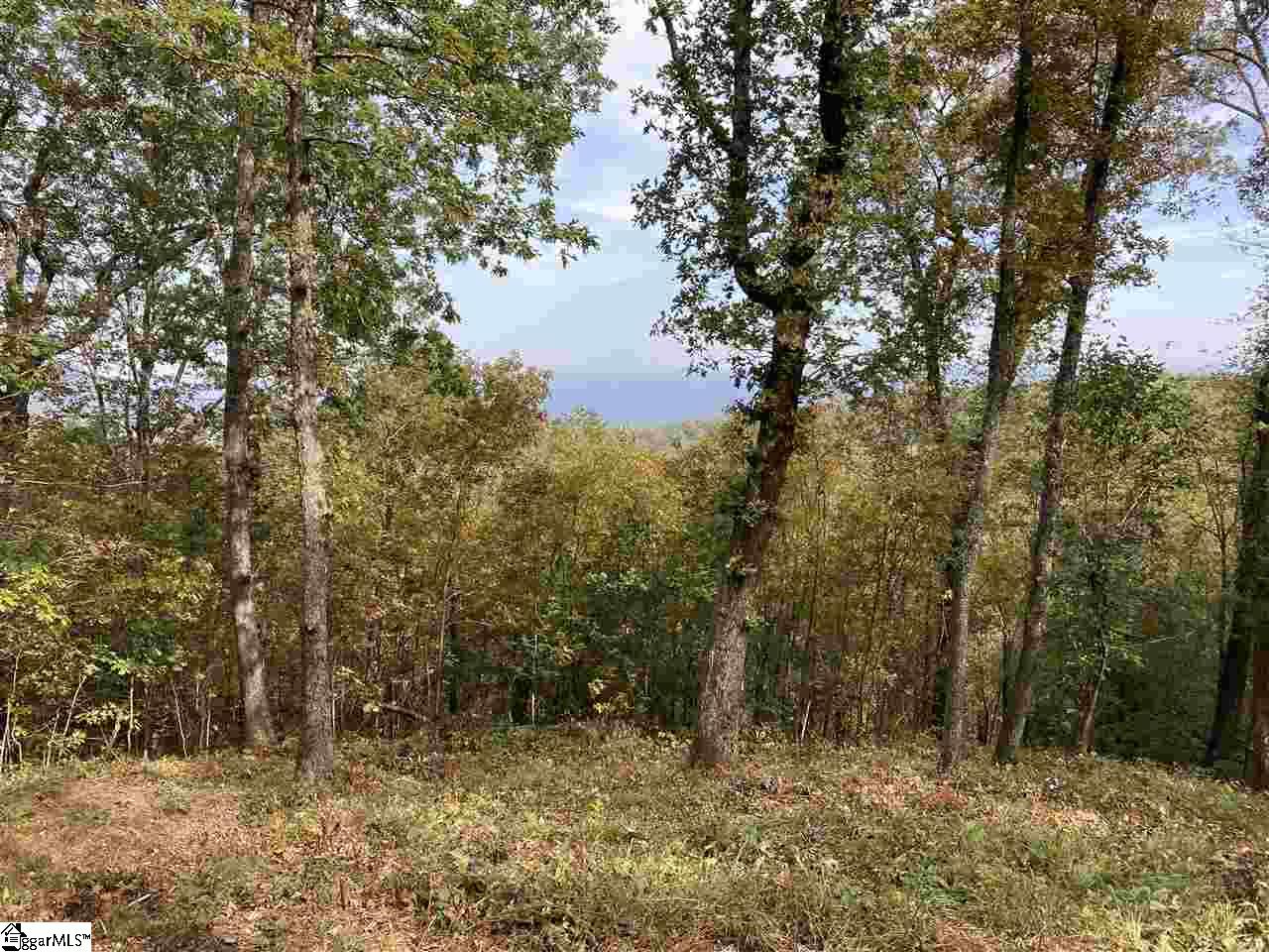 215 Yellowroot Lane Landrum, SC 29356 - Photo 2 of 4