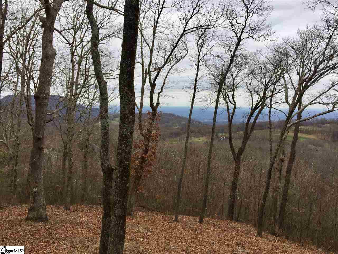 215 Yellowroot Lane Landrum, SC 29356 - Photo 3 of 4