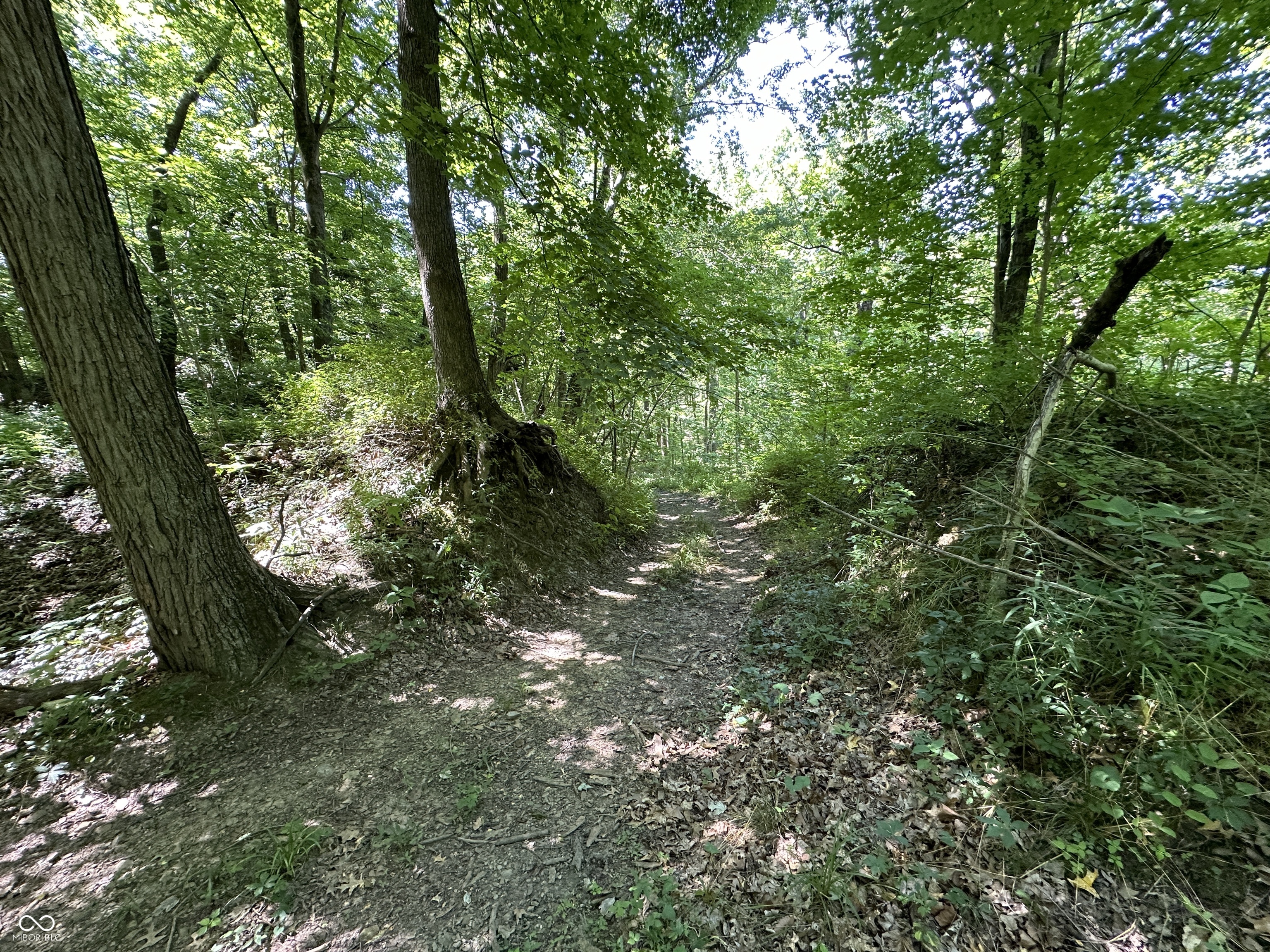 2626 South County Line Road West Yoder, IN 46798 - Photo 8 of 29