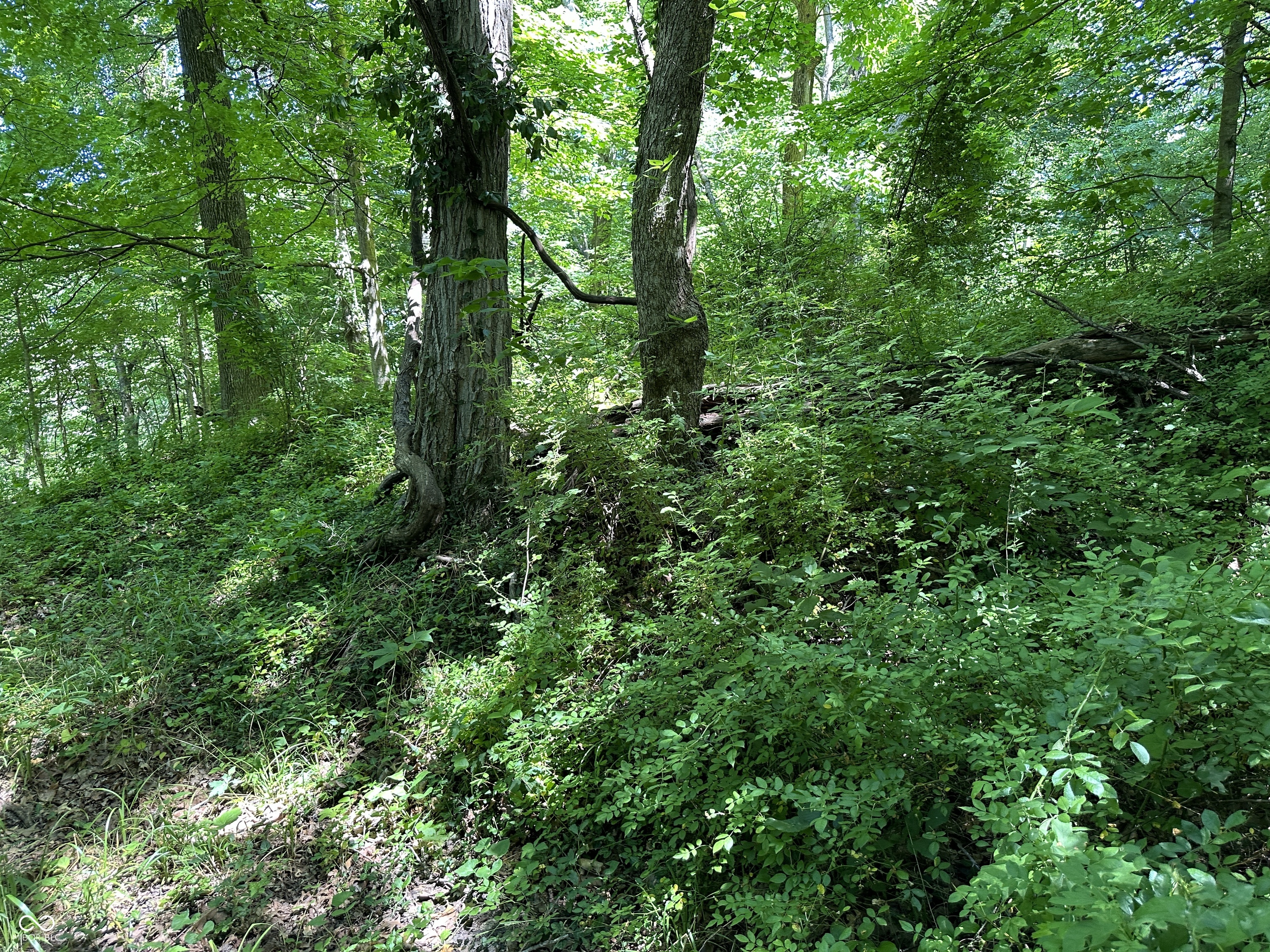 2626 South County Line Road West Yoder, IN 46798 - Photo 9 of 29