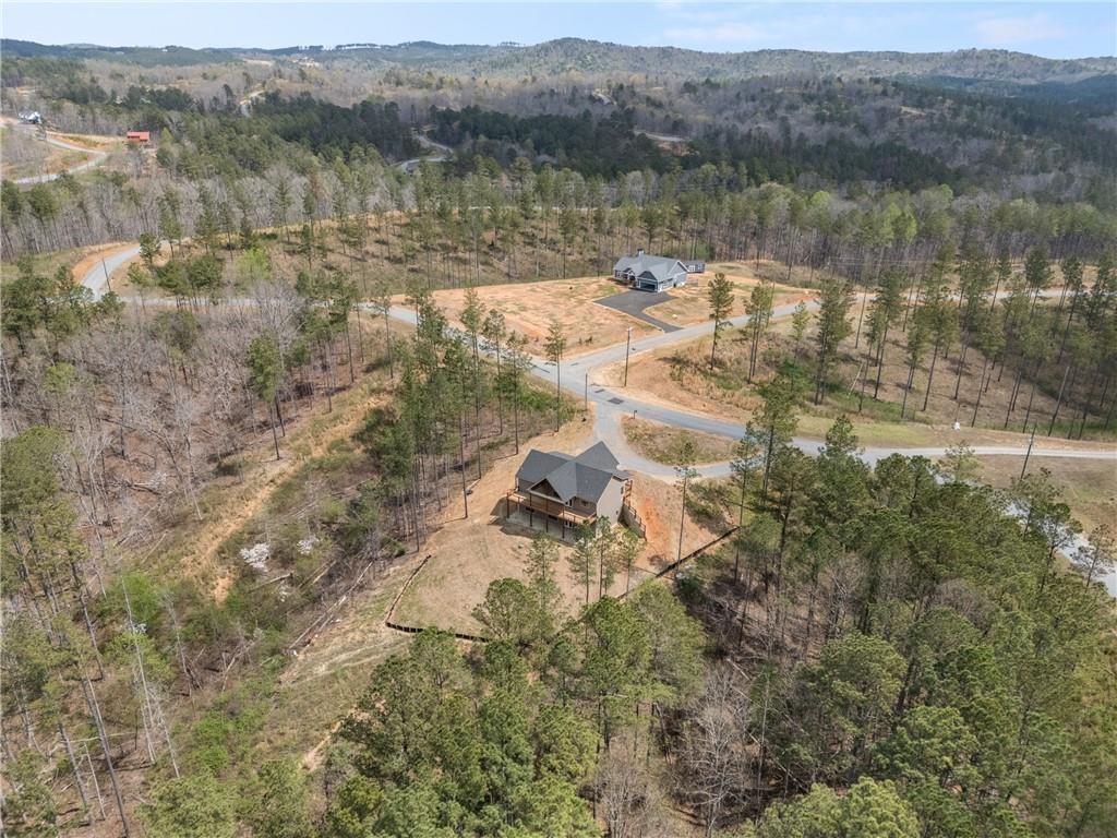 2956 Blalock Mountain Road Talking Rock, GA 30175 - Photo 51 of 63