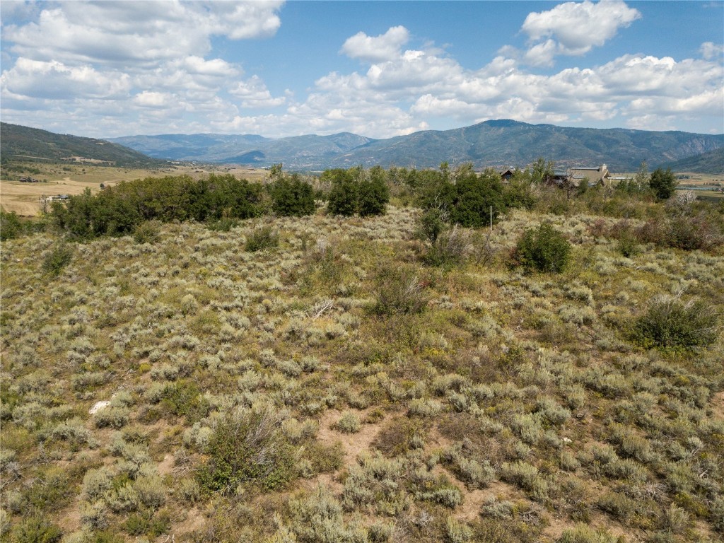 30795 Marshall Ridge Steamboat Springs, CO 80487 - Photo 13 of 18 a view of a green field with lots of bushes