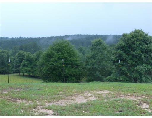 49 Water Valley Road Foxworth, MS 39483 - Photo 4 of 25