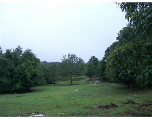 49 Water Valley Road Foxworth, MS 39483 - Photo 7 of 25