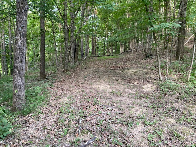 250 Hurt Road Hendersonville, TN 37075 - Photo 3 of 9 a view of a forest with trees in the background
