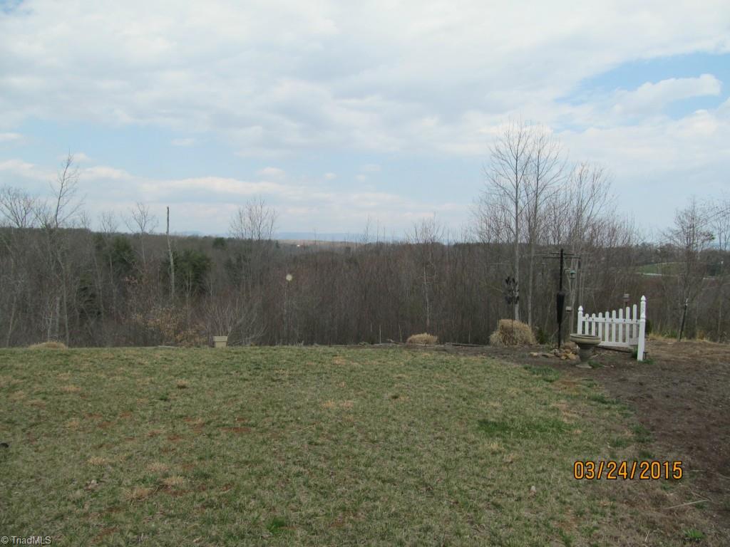 286 Red Brush Road Mount Airy, NC 27030 - Photo 8 of 30 Raised Flowerbed For Gardening. Blueberry Bushes & 4 Apple Trees.