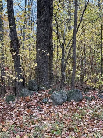 $28,000 | Lot 005 Greenwood Brook Road, Industry, ME 04938