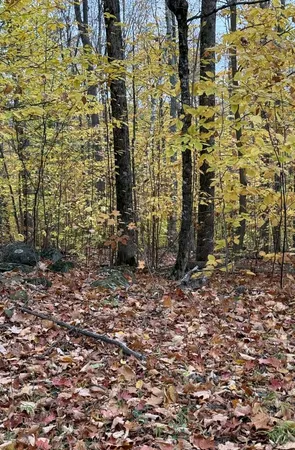 $28,000 | Lot 005 Greenwood Brook Road, Industry, ME 04938