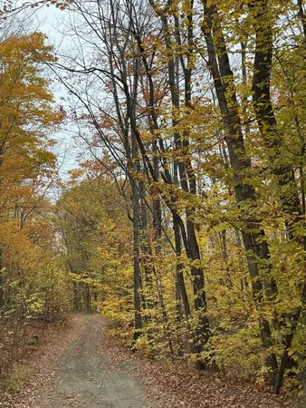 $28,000 | Lot 005 Greenwood Brook Road, Industry, ME 04938