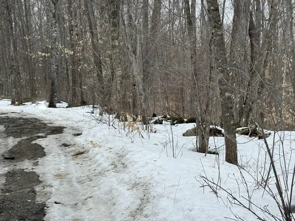 $28,000 | Lot 005 Greenwood Brook Road, Industry, ME 04938