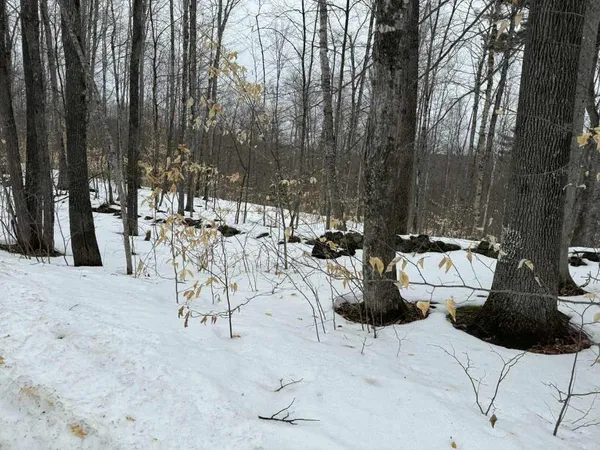 $28,000 | Lot 005 Greenwood Brook Road, Industry, ME 04938