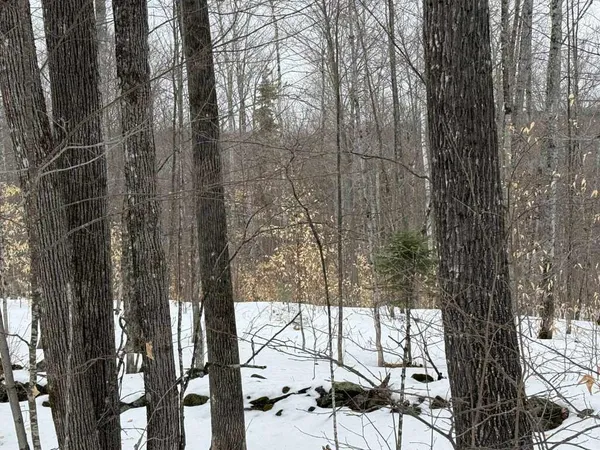 $28,000 | Lot 005 Greenwood Brook Road, Industry, ME 04938
