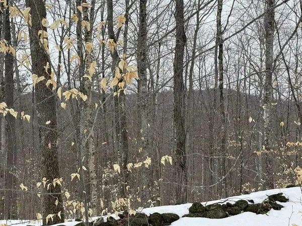 $28,000 | Lot 005 Greenwood Brook Road, Industry, ME 04938