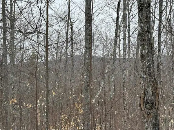 $28,000 | Lot 005 Greenwood Brook Road, Industry, ME 04938