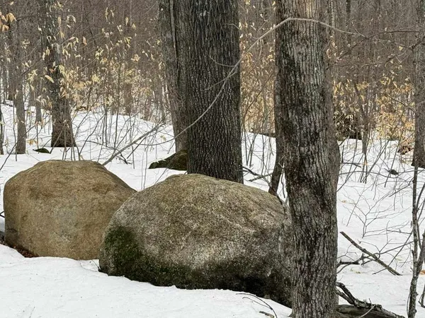 $28,000 | Lot 005 Greenwood Brook Road, Industry, ME 04938