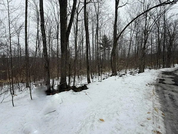 $28,000 | Lot 005 Greenwood Brook Road, Industry, ME 04938