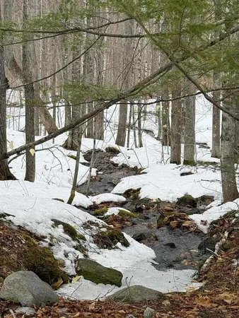 $28,000 | Lot 005 Greenwood Brook Road, Industry, ME 04938