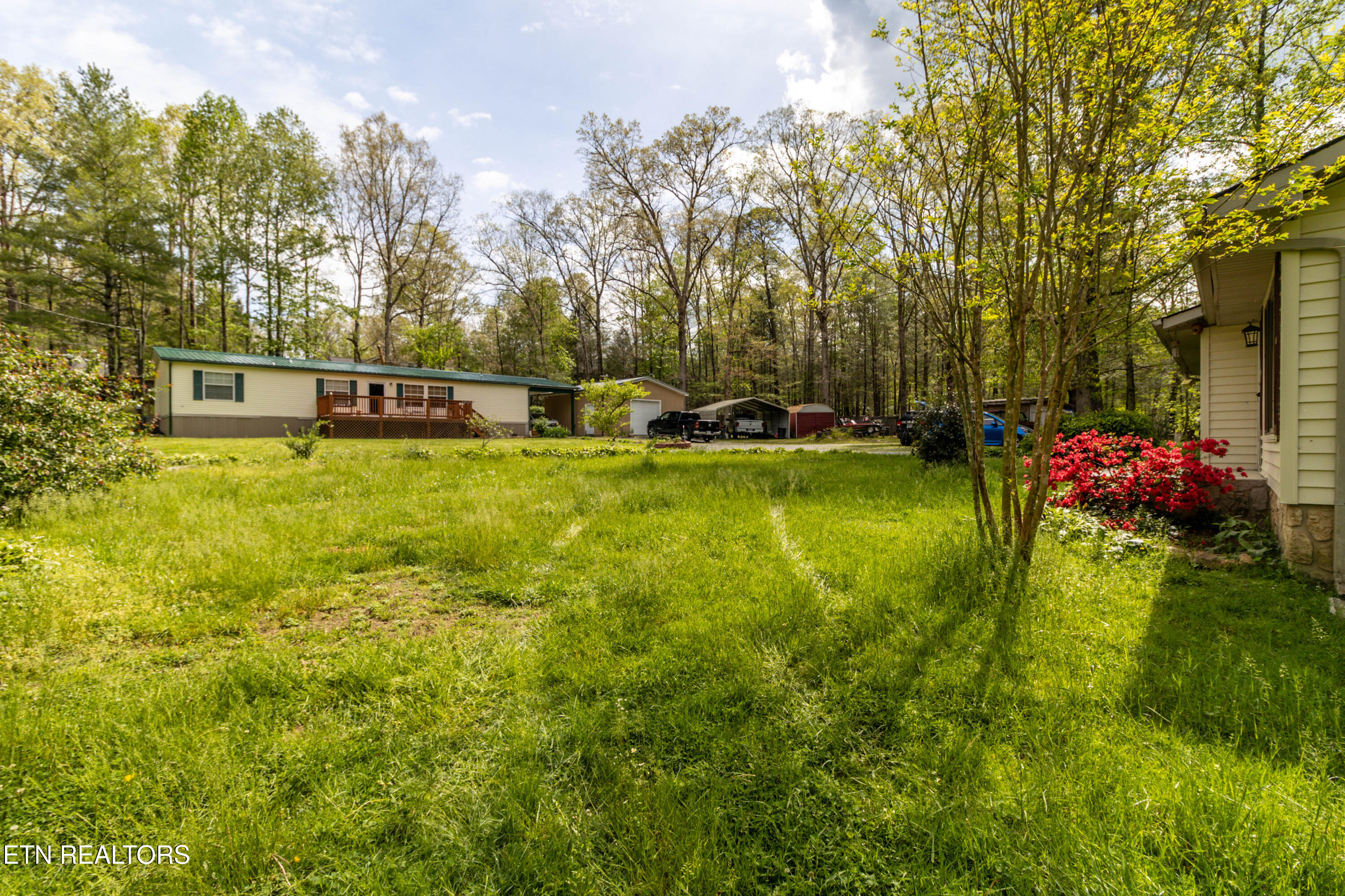 3398 Bell Road Sevierville, TN 37862 - Photo 11 of 37 1U6A0811