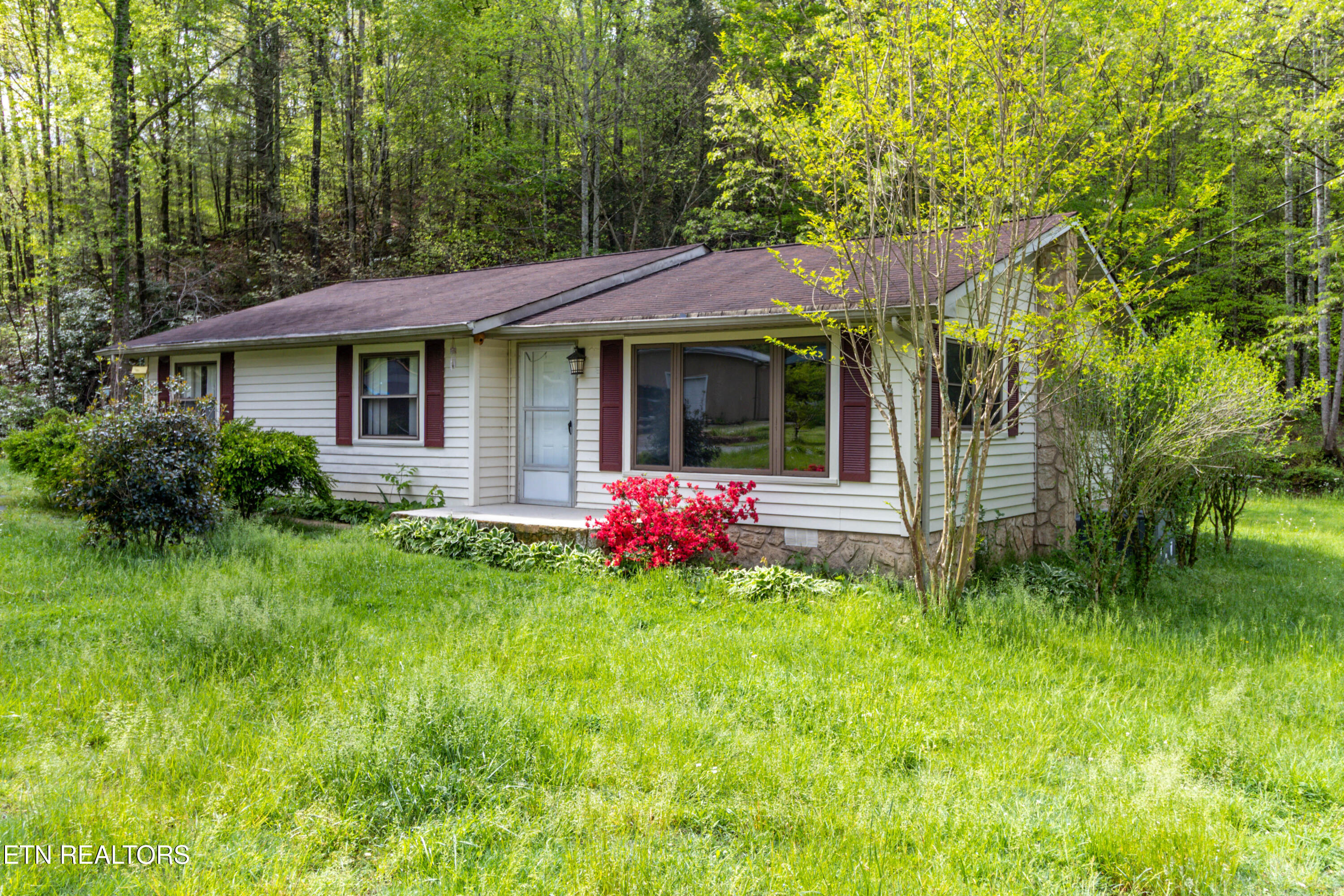 3398 Bell Road Sevierville, TN 37862 - Photo 9 of 37 1U6A0809