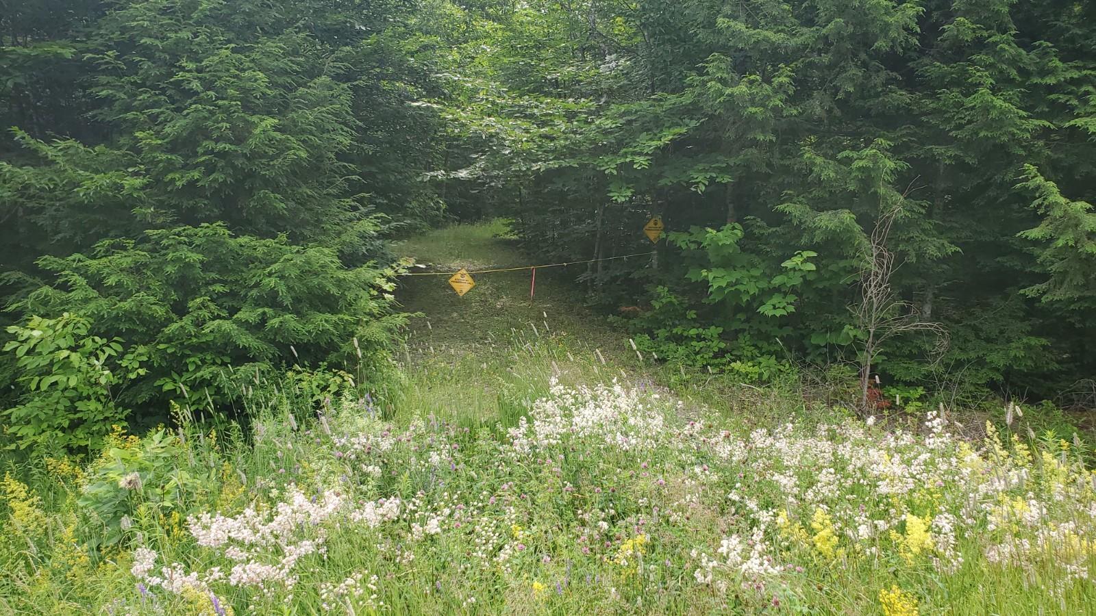 Lot 7 Estabrook Road Amity, ME 04471 - Photo 2 of 6 20210706_100737