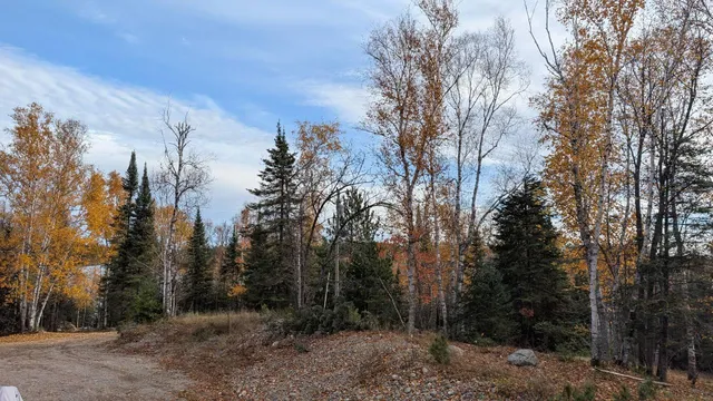 $110,000 | Tbd Black Bay Road, Cook, MN 55723