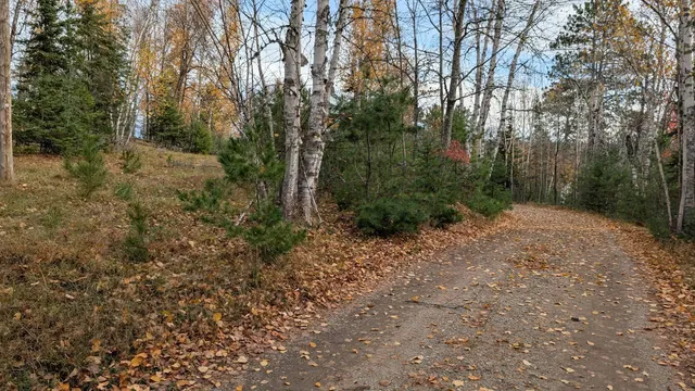 $110,000 | Tbd Black Bay Road, Cook, MN 55723
