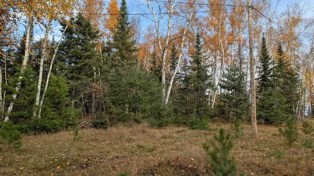 $110,000 | Tbd Black Bay Road, Cook, MN 55723