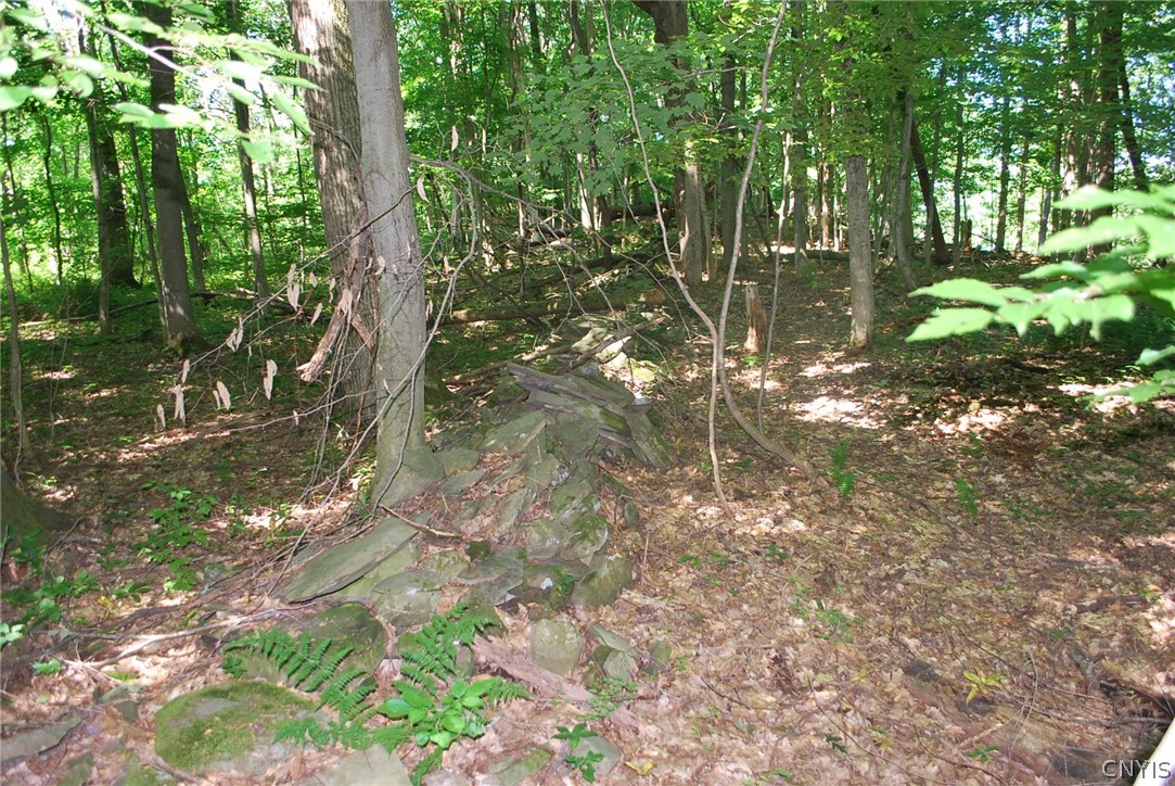176 Ladd Road Mexico, NY 13114 - Photo 26 of 29