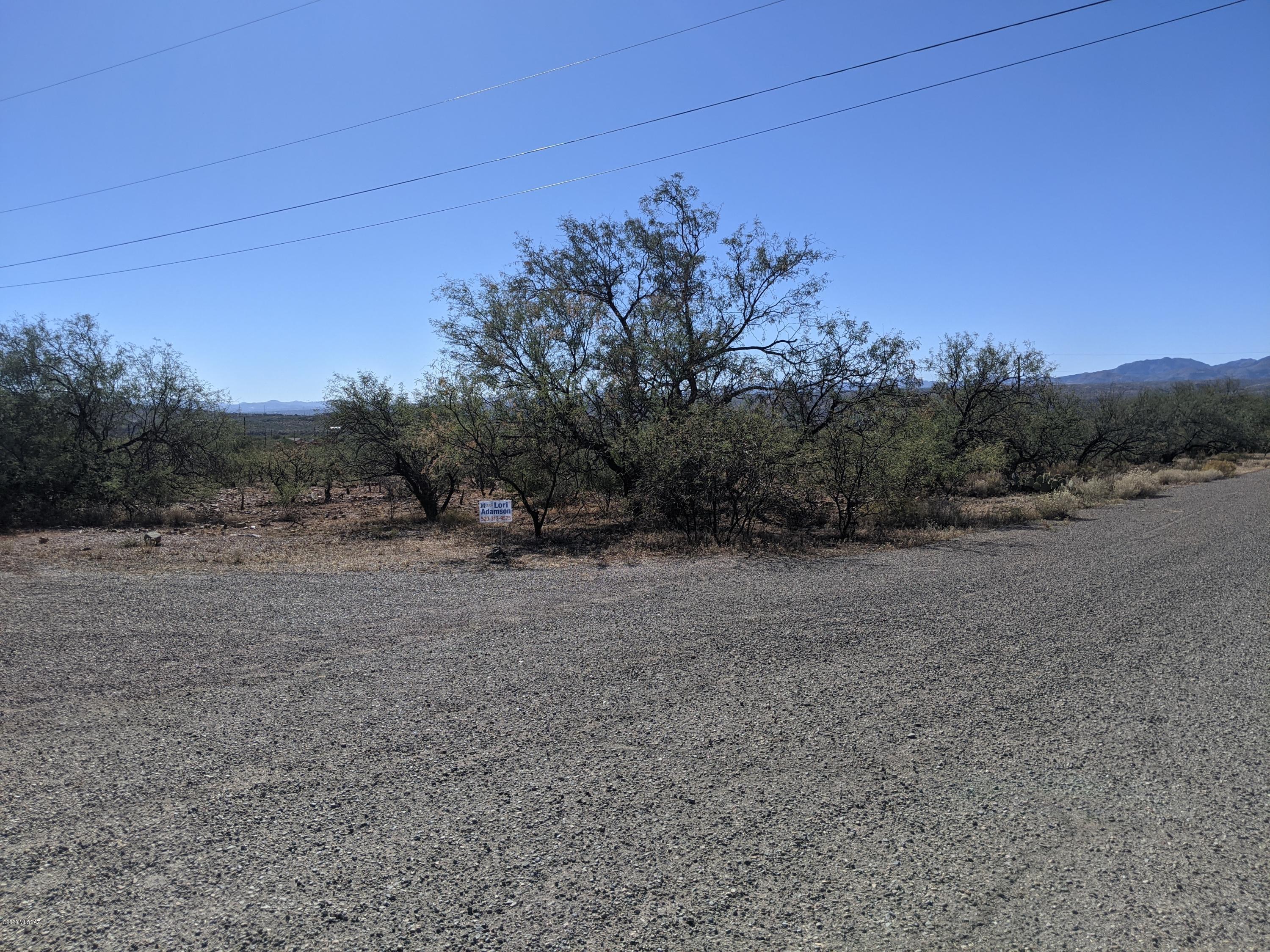 1776 Calle Barbadas, Unit 43 Rio Rico, AZ 85648 - Photo 3 of 4