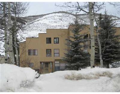2113 Vermont Road, Unit A Vail, CO 81657 - Photo 13 of 17 Additional Photo