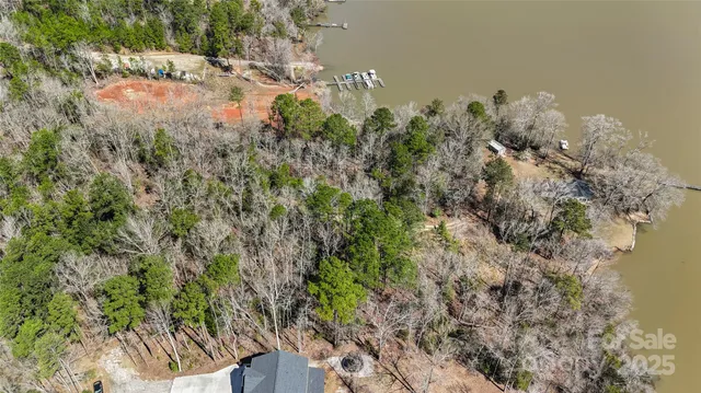 a view of a bunch of trees and bushes
