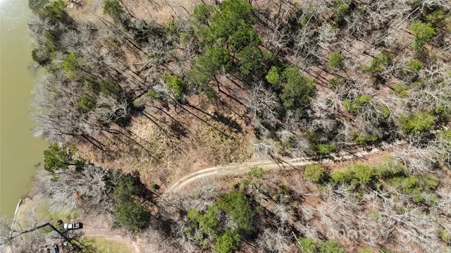 a view of swimming pool and trees in the background