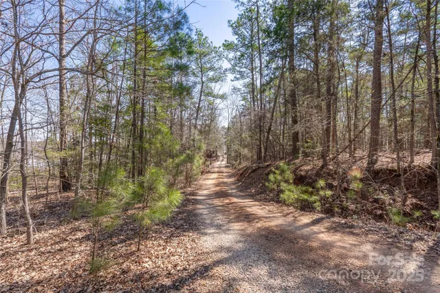 a view of a park with large trees