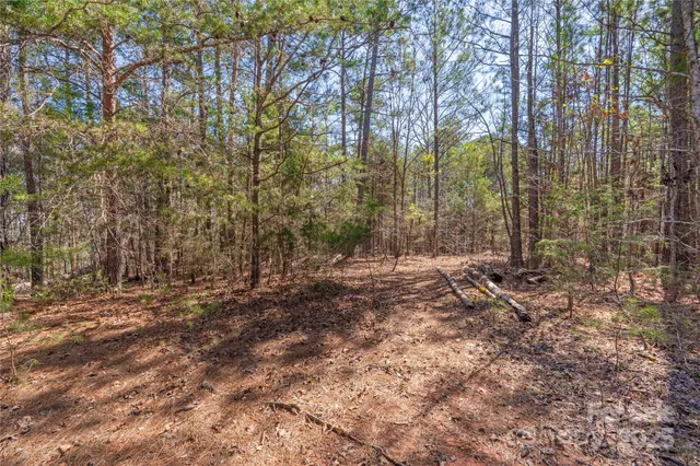 a view of empty space with trees