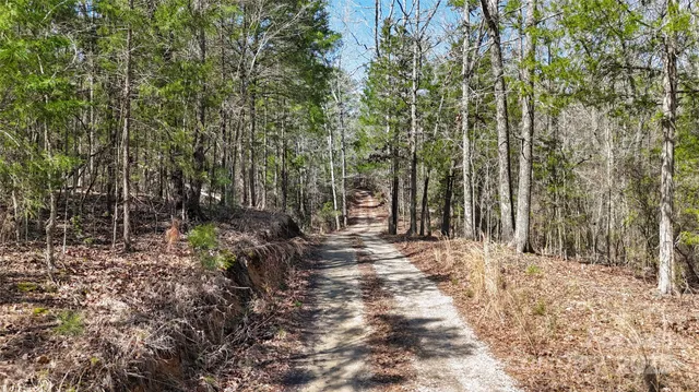 a view of a lake with a forest