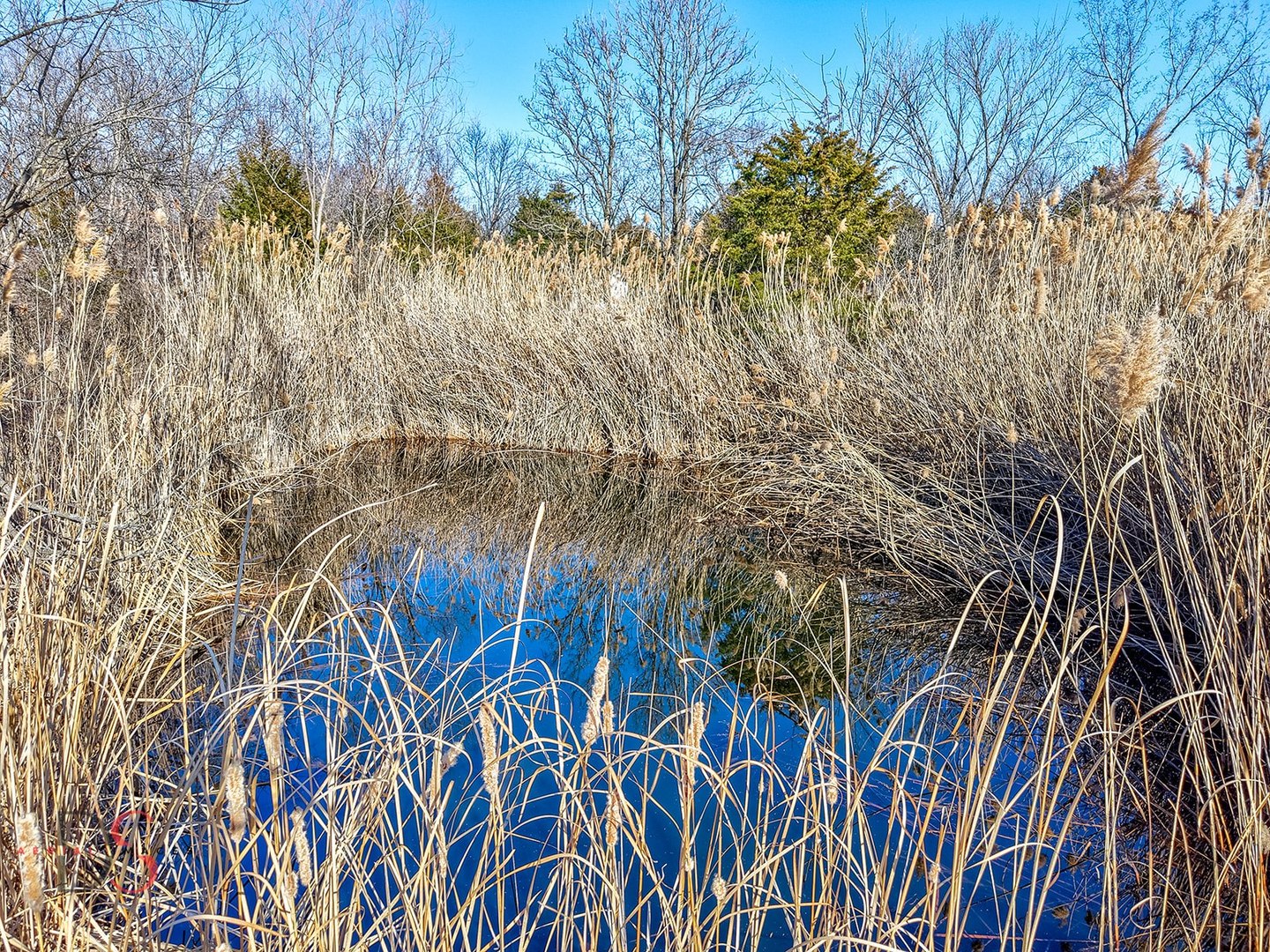 2813 East 2525th Road Marseilles, IL 61341 - Photo 30 of 38