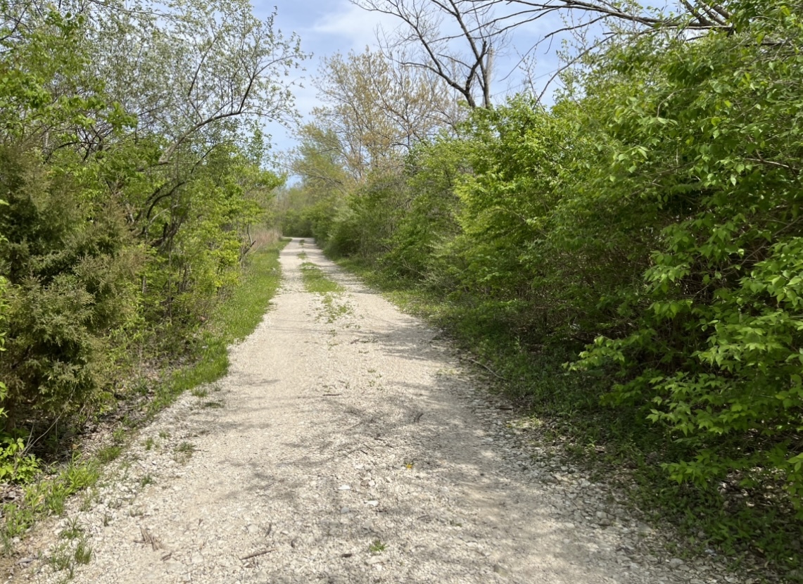 2813 East 2525th Road Marseilles, IL 61341 - Photo 37 of 38