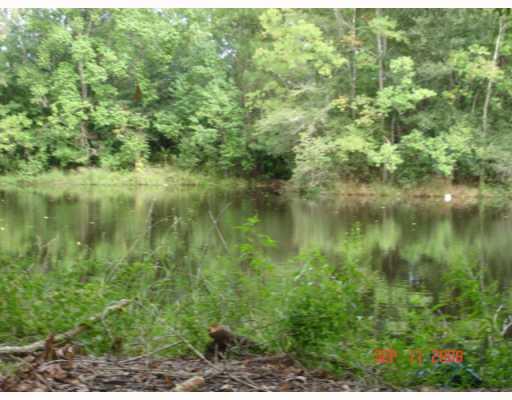 0 Horseshoe Road West Amite, LA 70422 - Photo 1 of 3 Gallery Image 1