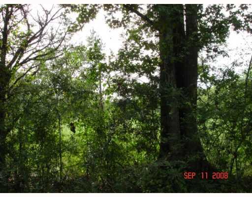 0 Horseshoe Road West Amite, LA 70422 - Photo 3 of 3 Gallery Image 3