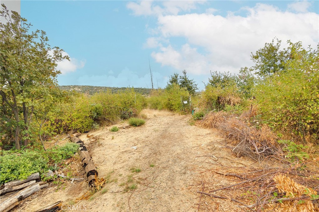 0 Aureole Way Oroville, CA 95965 - Photo 14 of 24 a view of a yard with trees