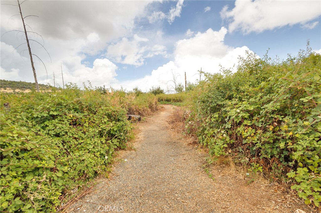 0 Aureole Way Oroville, CA 95965 - Photo 19 of 24 a view of a lake with houses