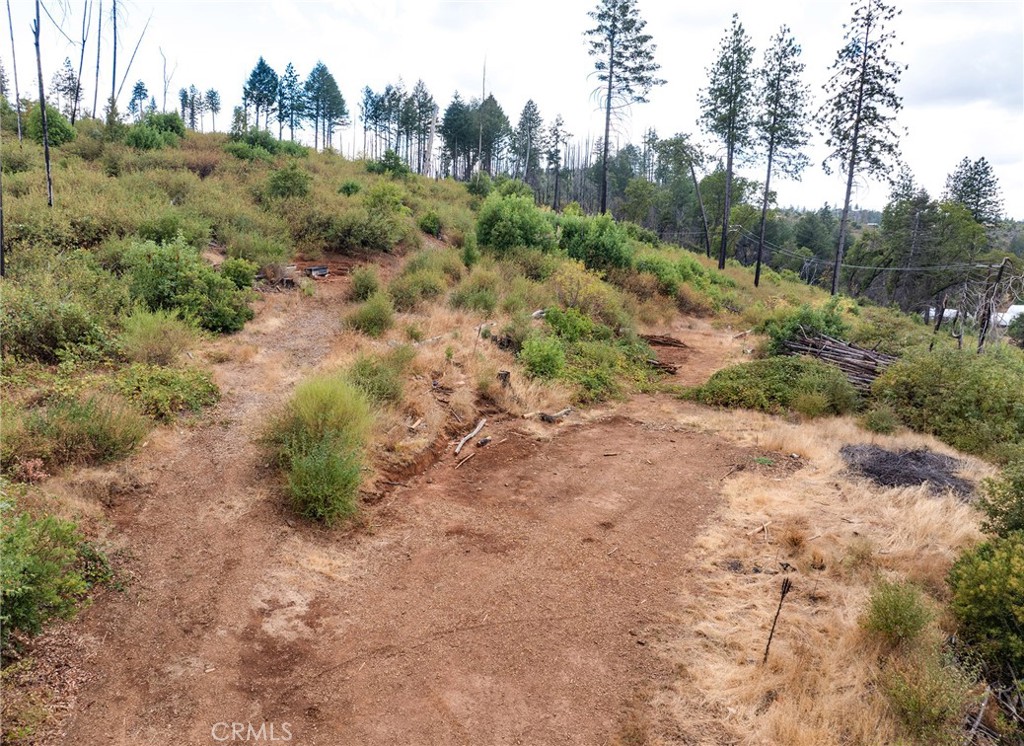 0 Aureole Way Oroville, CA 95965 - Photo 2 of 24 a big yard with lots of green space