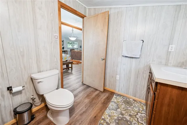 a view of a yard with lots of trees