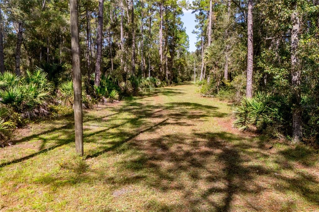 6550 Southwest 100 Court Cedar Key, FL 32625 - Photo 39 of 41 a view of a yard with wooden fence