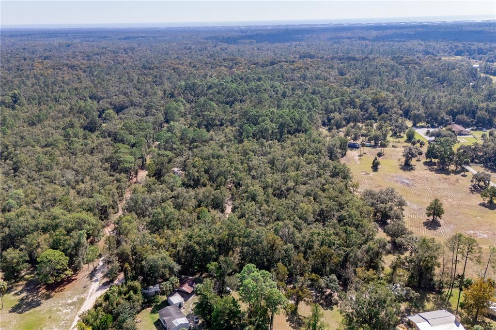 6550 Southwest 100 Court Cedar Key, FL 32625 - Photo 40 of 41 a view of a forest with a street