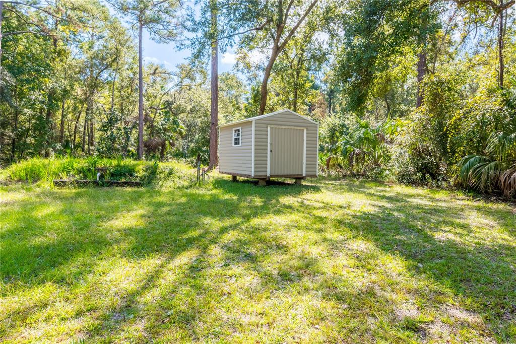 6550 Southwest 100 Court Cedar Key, FL 32625 - Photo 6 of 41 a view of a house with a big yard and large trees