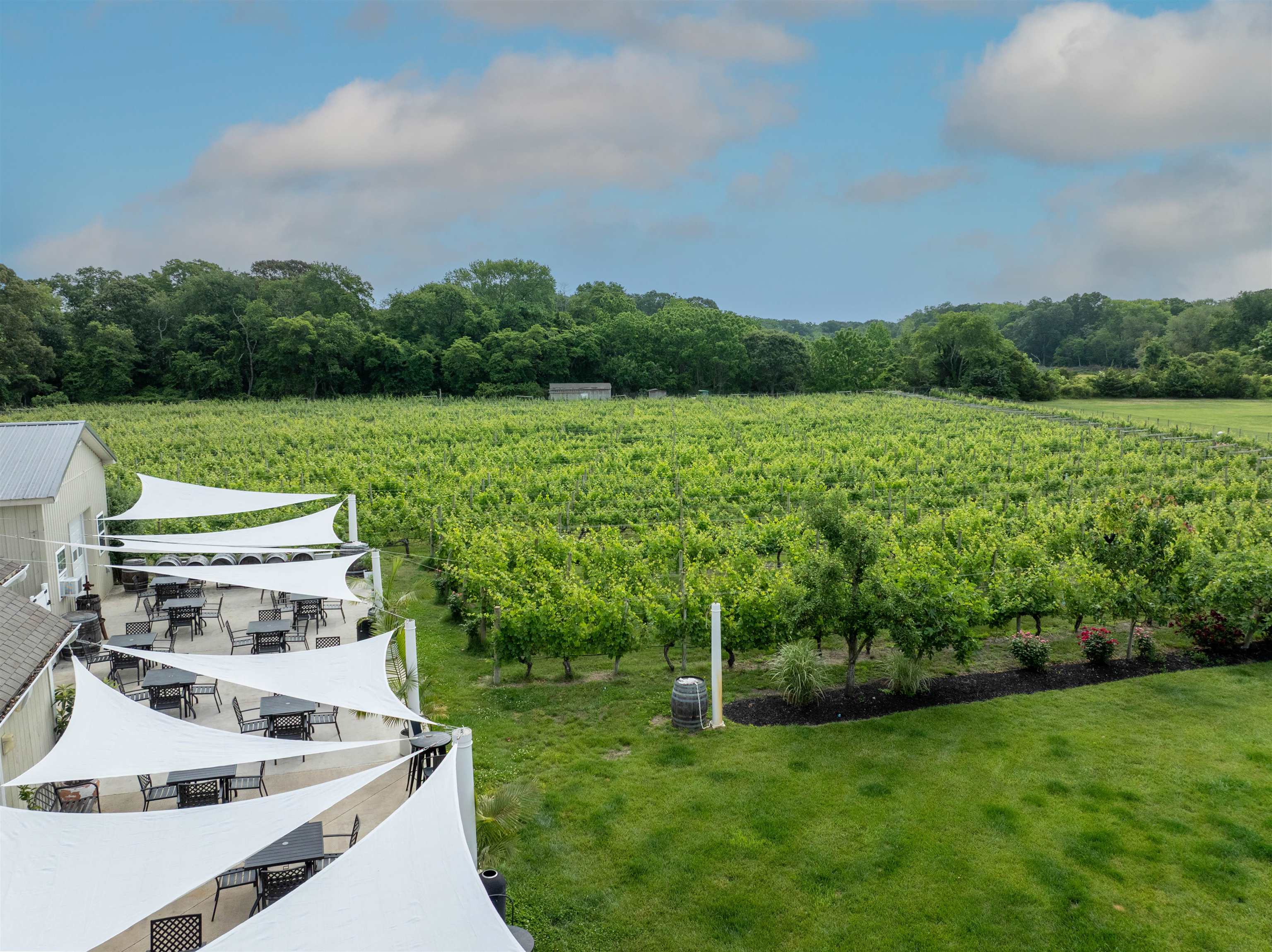 3911 Bayshore Road North Cape May, NJ 08204 - Photo 13 of 44 a view of a garden with a lake