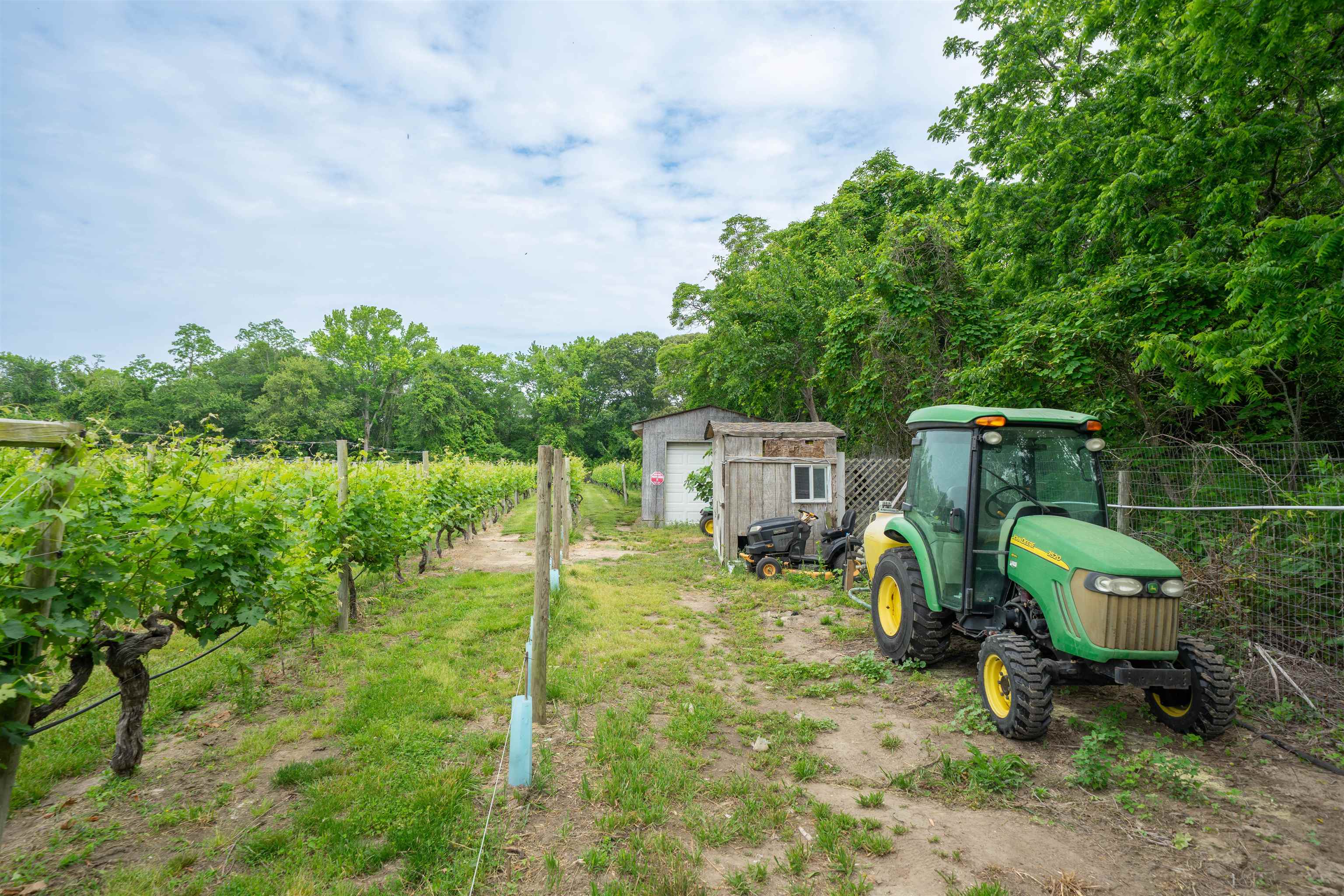 3911 Bayshore Road North Cape May, NJ 08204 - Photo 34 of 44 a backyard of a house with table and chairs