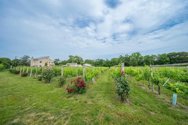 a view of a bench in a field