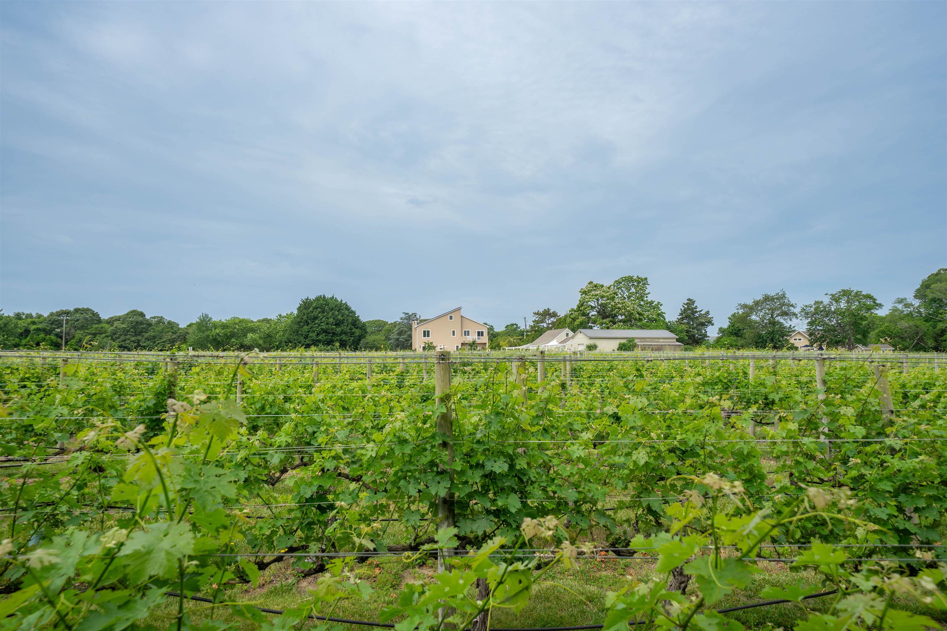 3911 Bayshore Road North Cape May, NJ 08204 - Photo 36 of 44 a view of a lush green field